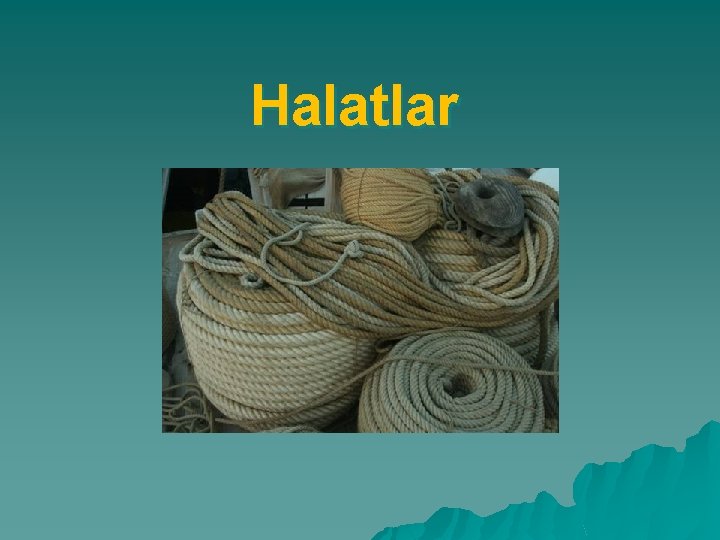 Halatlar 