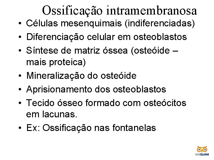 Ossificação intramembranosa • Células mesenquimais (indiferenciadas) • Diferenciação celular em osteoblastos • Síntese de