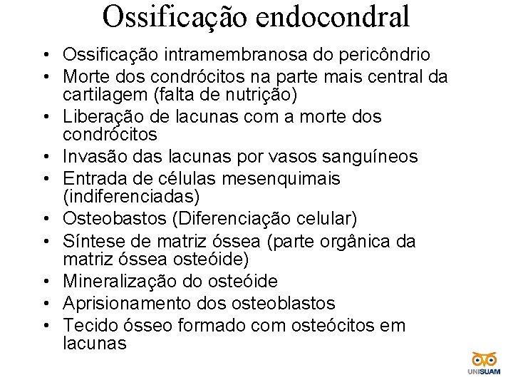Ossificação endocondral • Ossificação intramembranosa do pericôndrio • Morte dos condrócitos na parte mais