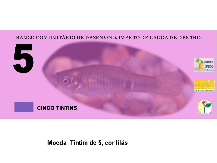 BANCO COMUNITÁRIO DE DESENVOLVIMENTO DE LAGOA DE DENTRO CINCO TINTINS Moeda Tintim de 5,