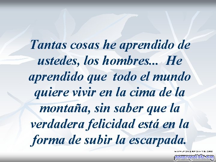 Tantas cosas he aprendido de ustedes, los hombres. . . He aprendido que todo