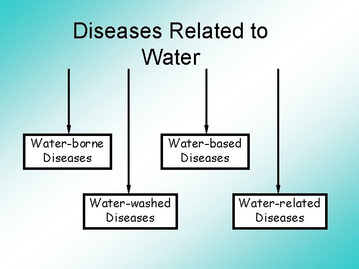 Diseases Related to Water-borne Diseases Water-based Diseases Water-washed Diseases Water-related Diseases 