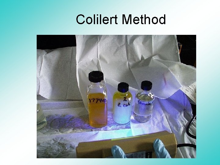 Colilert Method 