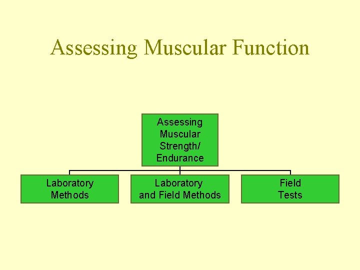 Assessing Muscular Function Assessing Muscular Strength/ Endurance Laboratory Methods Laboratory and Field Methods Field