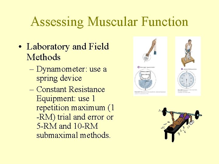 Assessing Muscular Function • Laboratory and Field Methods – Dynamometer: use a spring device