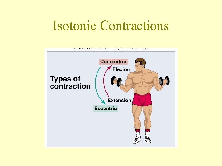 Isotonic Contractions 