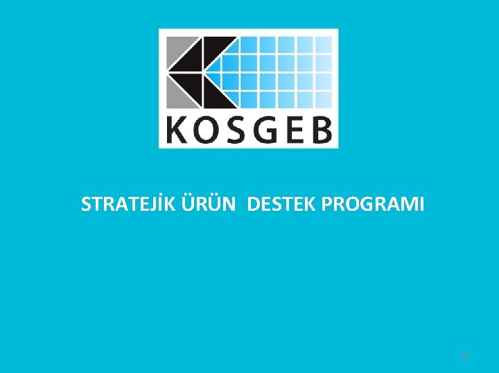 STRATEJİK ÜRÜN DESTEK PROGRAMI 24 