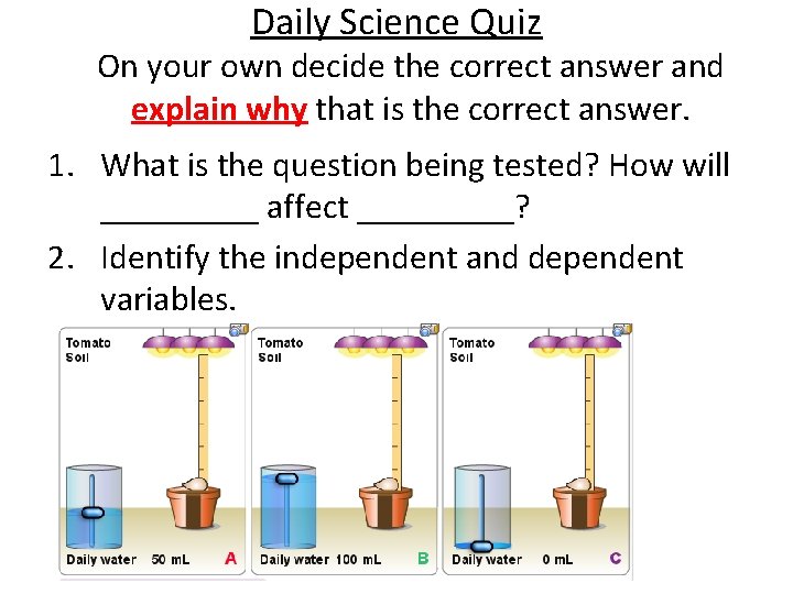 Daily Science Quiz On your own decide the correct answer and explain why that