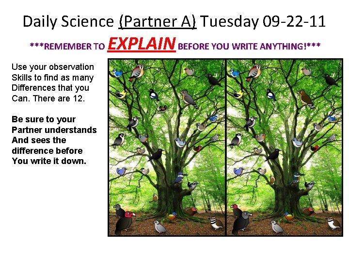 Daily Science (Partner A) Tuesday 09 -22 -11 ***REMEMBER TO Use your observation Skills