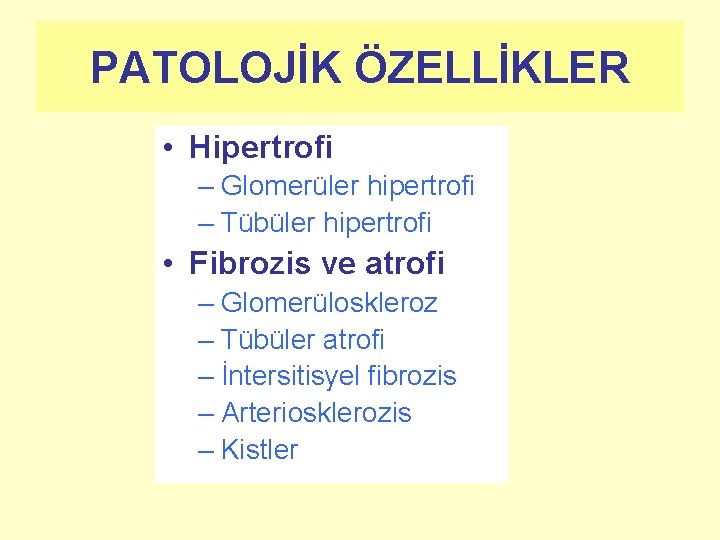 PATOLOJİK ÖZELLİKLER • Hipertrofi – Glomerüler hipertrofi – Tübüler hipertrofi • Fibrozis ve atrofi