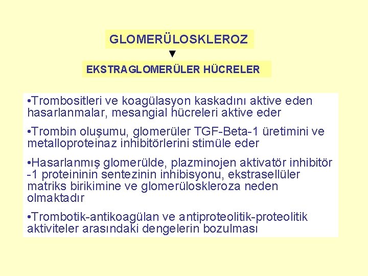 GLOMERÜLOSKLEROZ EKSTRAGLOMERÜLER HÜCRELER • Trombositleri ve koagülasyon kaskadını aktive eden hasarlanmalar, mesangial hücreleri aktive