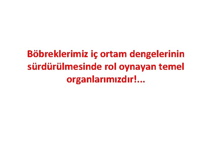 Böbreklerimiz iç ortam dengelerinin sürdürülmesinde rol oynayan temel organlarımızdır!. . . 