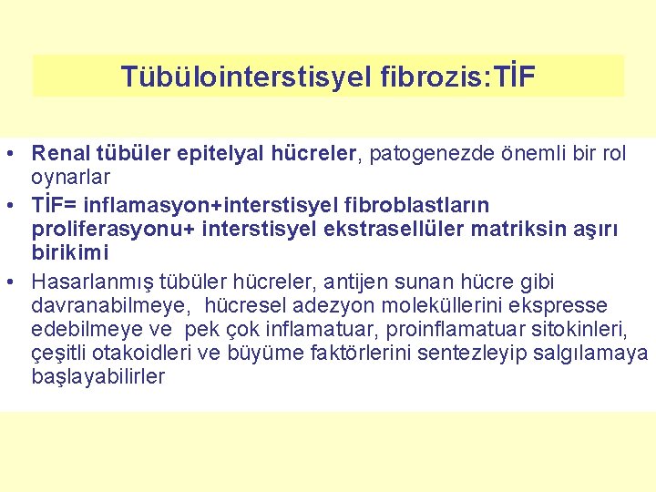 Tübülointerstisyel fibrozis: TİF • Renal tübüler epitelyal hücreler, patogenezde önemli bir rol oynarlar •