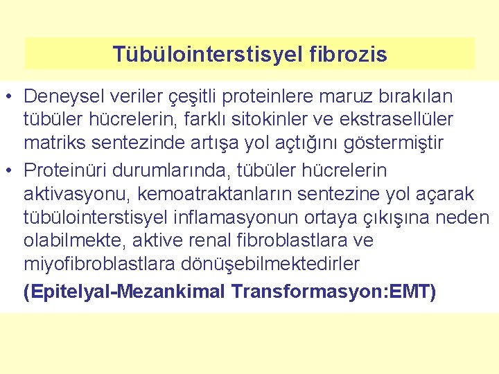 Tübülointerstisyel fibrozis • Deneysel veriler çeşitli proteinlere maruz bırakılan tübüler hücrelerin, farklı sitokinler ve