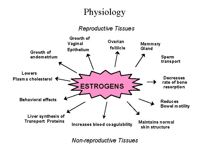 Physiology Reproductive Tissues Growth of endometrium Growth of Vaginal Epithelium Ovarian follilcle Sperm transport