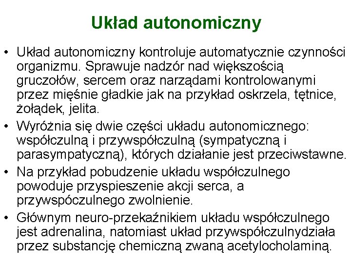 Układ autonomiczny • Układ autonomiczny kontroluje automatycznie czynności organizmu. Sprawuje nadzór nad większością gruczołów,