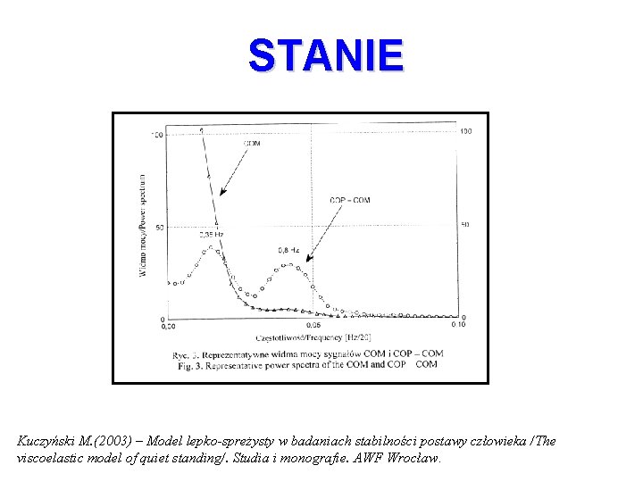 STANIE Kuczyński M. (2003) – Model lepko-spreżysty w badaniach stabilności postawy człowieka /The viscoelastic