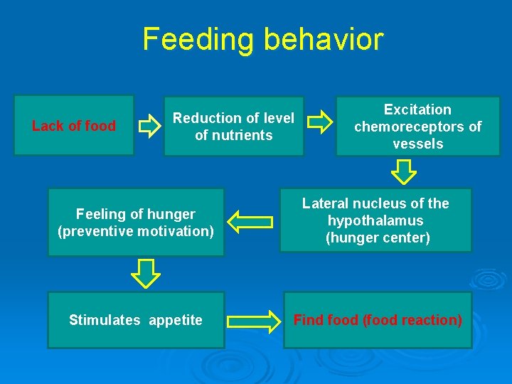 GENERAL CHARACTERISTICS OF DIGESTIVE SYSTEM FEEDING OF BEHAVIOR