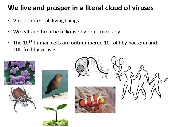 We live and prosper in a literal cloud of viruses • Viruses infect all