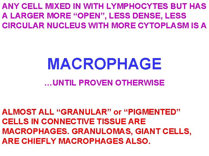 ANY CELL MIXED IN WITH LYMPHOCYTES BUT HAS A LARGER MORE “OPEN”, LESS DENSE,