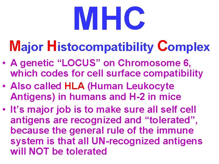 MHC Major Histocompatibility Complex • A genetic “LOCUS” on Chromosome 6, which codes for