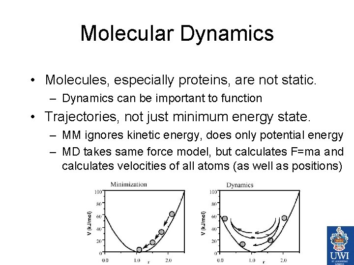 Molecular Dynamics • Molecules, especially proteins, are not static. – Dynamics can be important