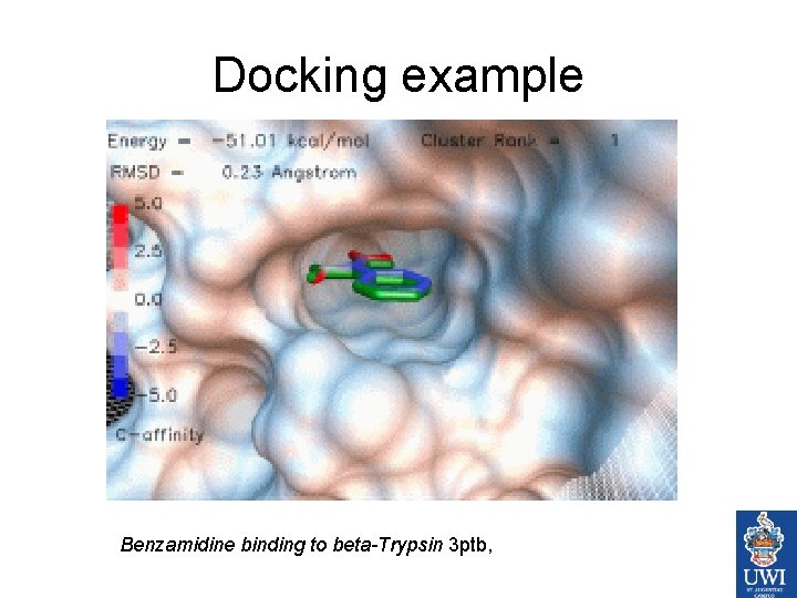 Docking example Benzamidine binding to beta-Trypsin 3 ptb, 