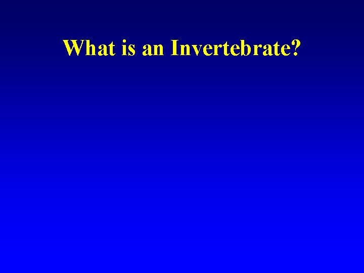 What is an Invertebrate? 