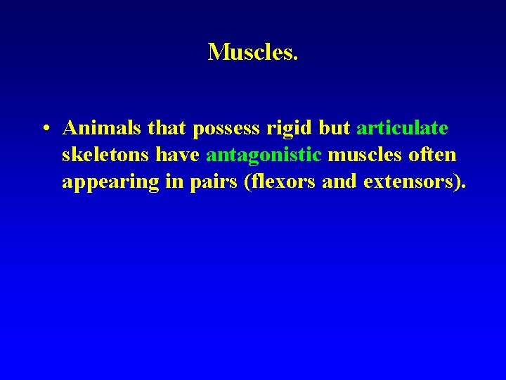 Muscles. • Animals that possess rigid but articulate skeletons have antagonistic muscles often appearing