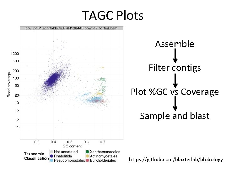 TAGC Plots Assemble Filter contigs Plot %GC vs Coverage Sample and blast https: //github.