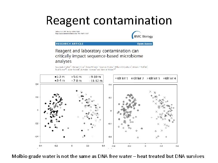 Reagent contamination Molbio grade water is not the same as DNA free water –