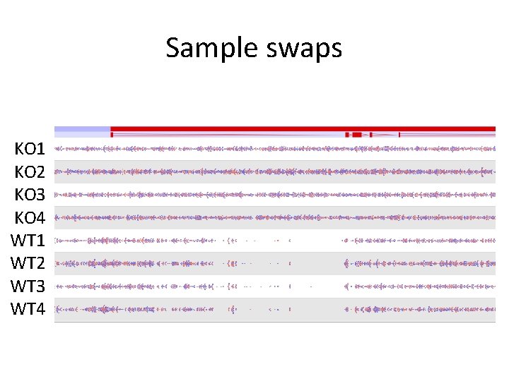 Sample swaps KO 1 KO 2 KO 3 KO 4 WT 1 WT 2