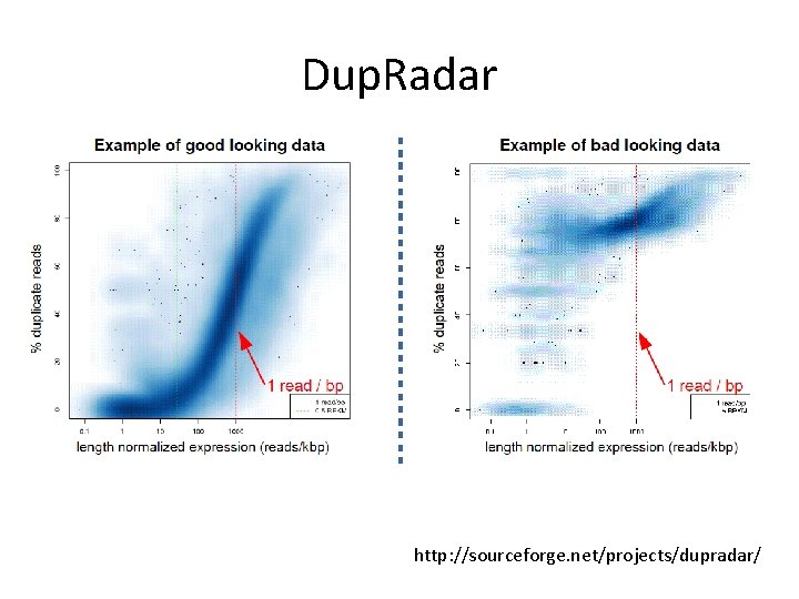 Dup. Radar http: //sourceforge. net/projects/dupradar/ 