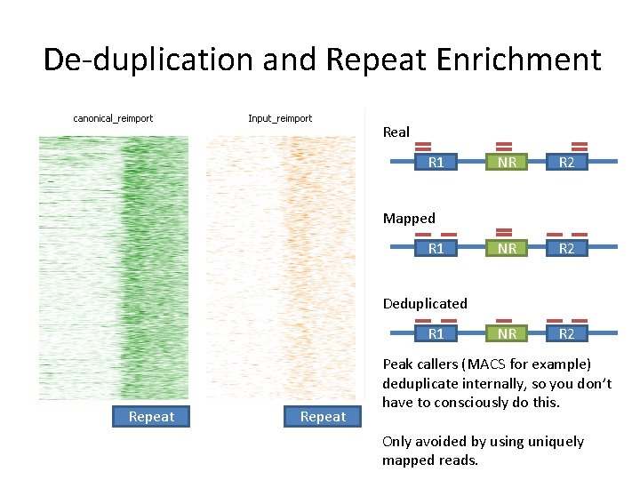 De-duplication and Repeat Enrichment Real R 1 NR R 2 Mapped R 1 Deduplicated