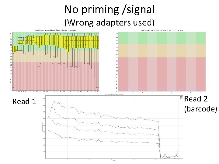 No priming /signal (Wrong adapters used) Read 1 Read 2 (barcode) 