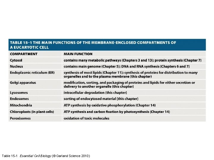 Table 15 -1 Essential Cell Biology (© Garland Science 2010) 