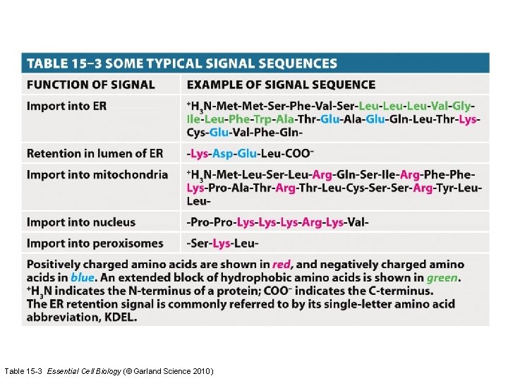 Table 15 -3 Essential Cell Biology (© Garland Science 2010) 