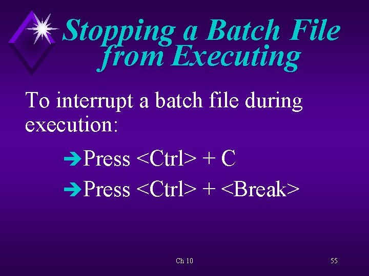 Stopping a Batch File from Executing To interrupt a batch file during execution: èPress