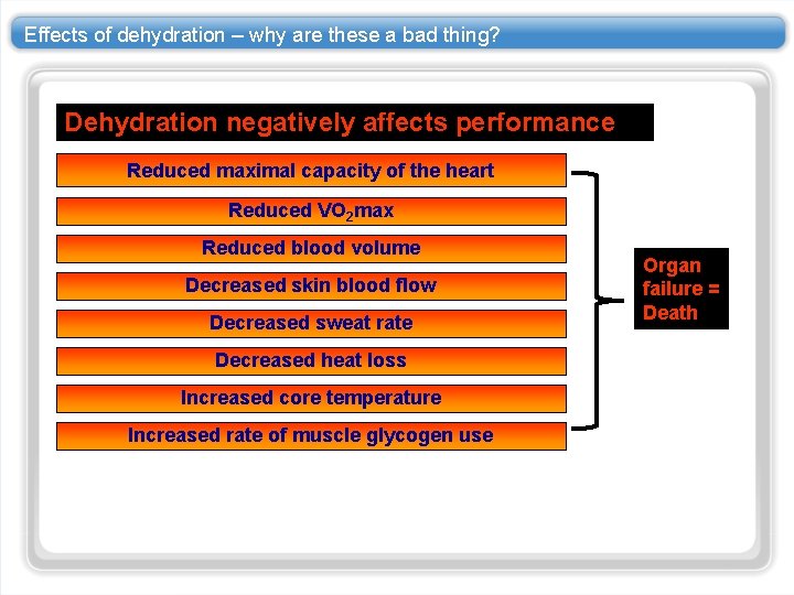 Effects of dehydration – why are these a bad thing? Dehydration negatively affects performance