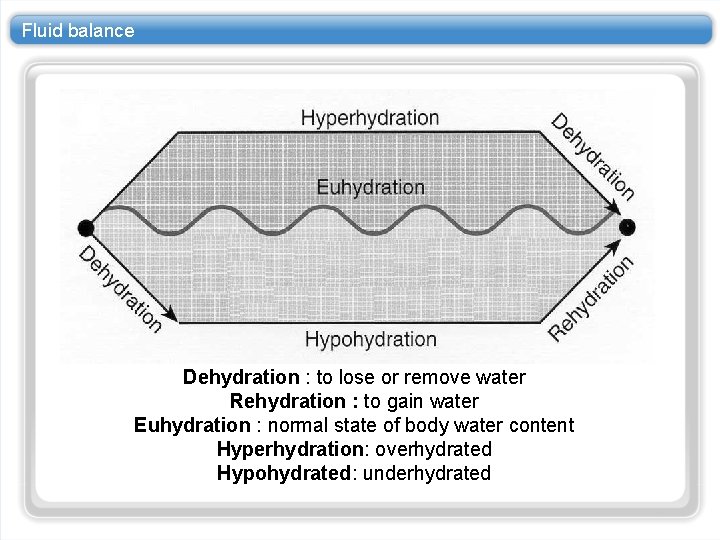 Fluid balance Dehydration : to lose or remove water Rehydration : to gain water