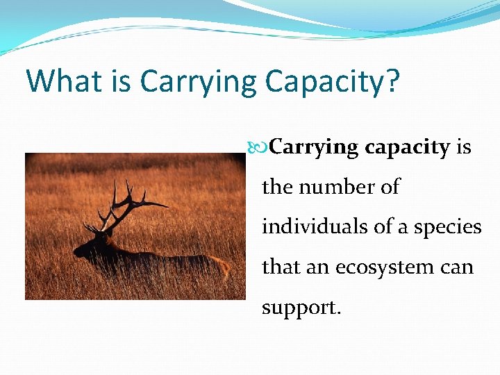 What is Carrying Capacity? Carrying capacity is the number of individuals of a species What is Carrying Capacity? Carrying capacity is the number of individuals of a species
