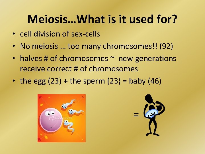 Meiosis…What is it used for? • cell division of sex-cells • No meiosis …
