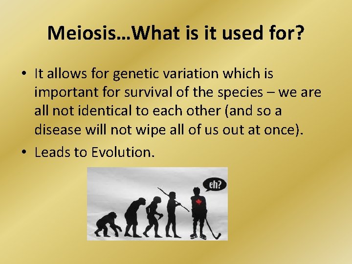 Meiosis…What is it used for? • It allows for genetic variation which is important