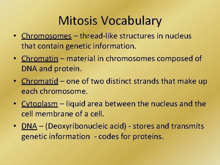 Mitosis Vocabulary • Chromosomes – thread-like structures in nucleus that contain genetic information. •