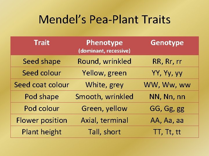 Mendel’s Pea-Plant Traits Trait Phenotype (dominant, recessive) Seed shape Round, wrinkled Seed colour Yellow,