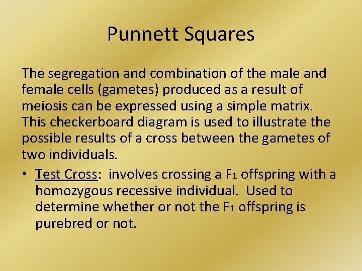 Punnett Squares The segregation and combination of the male and female cells (gametes) produced