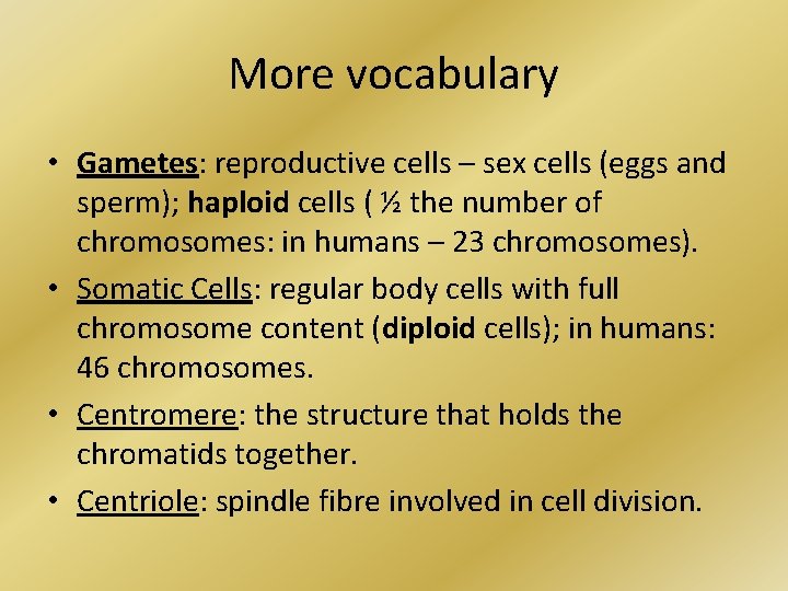 More vocabulary • Gametes: reproductive cells – sex cells (eggs and sperm); haploid cells