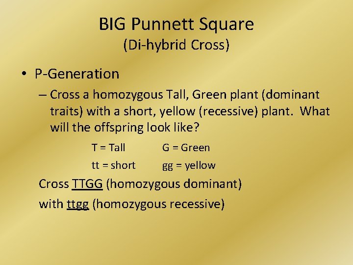 BIG Punnett Square (Di-hybrid Cross) • P-Generation – Cross a homozygous Tall, Green plant
