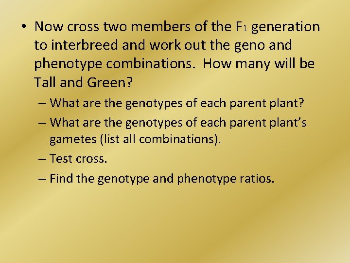  • Now cross two members of the F 1 generation to interbreed and
