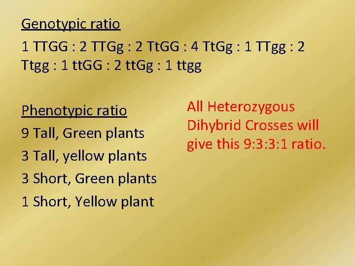 Genotypic ratio 1 TTGG : 2 TTGg : 2 Tt. GG : 4 Tt.